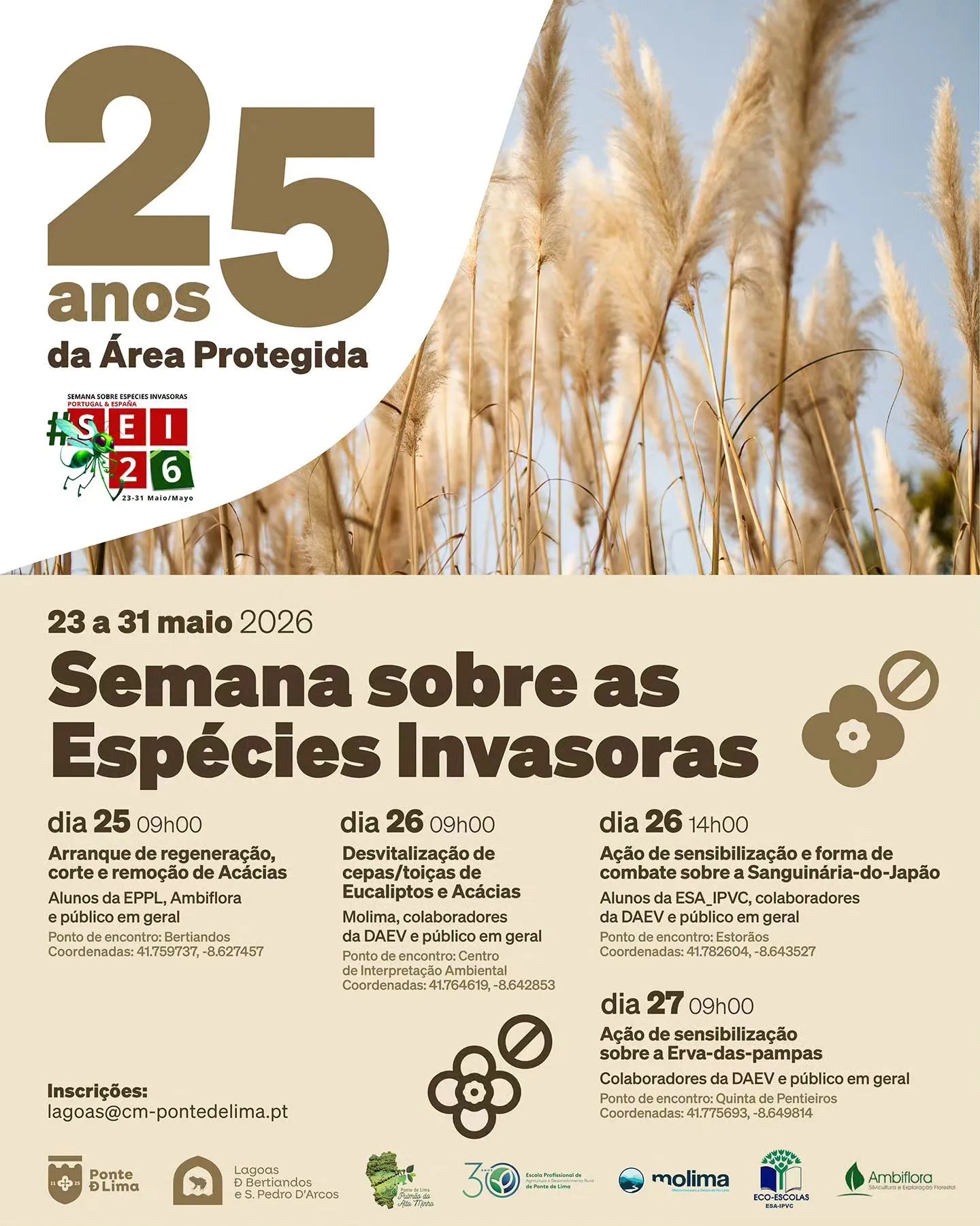Desvitalização de cepas/toiças de Eucaliptos e Acácias